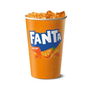 Fanta Orange Soda 16 Oz Plastic Bottle